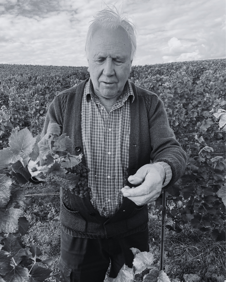 PIERRE MORLET