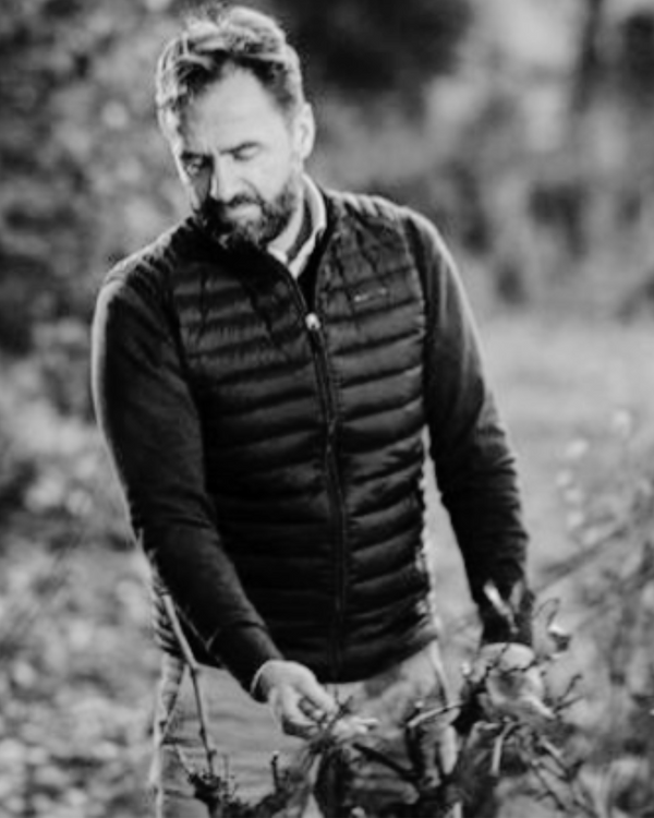 VIGNOBLES DAVID