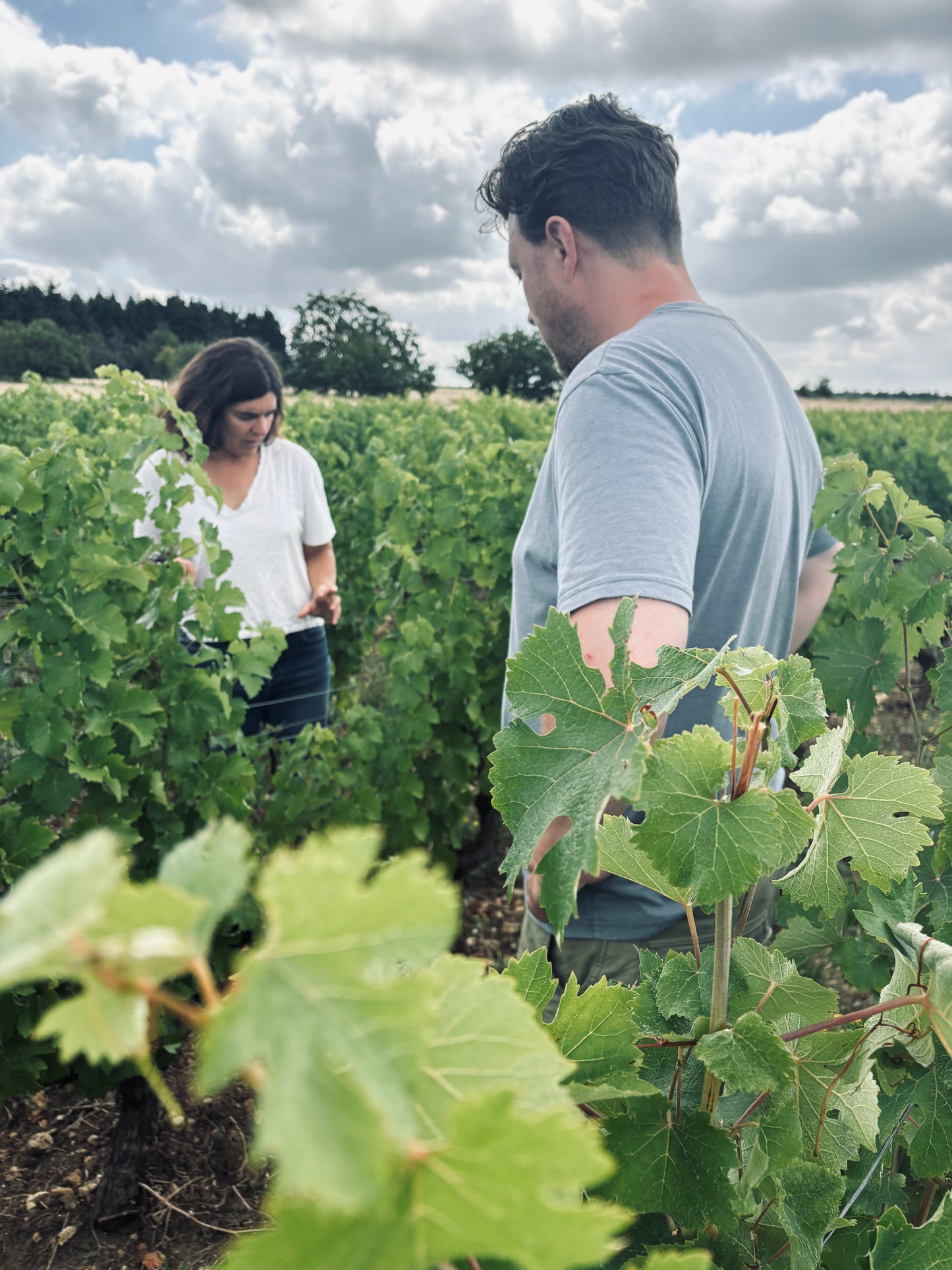Les Terres Turones La Binette 2023