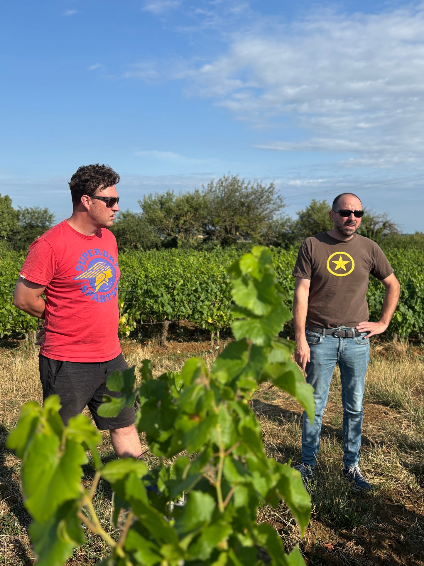 Le Grain du Vin Grain de Jouvence Bourgogne rouge 2023