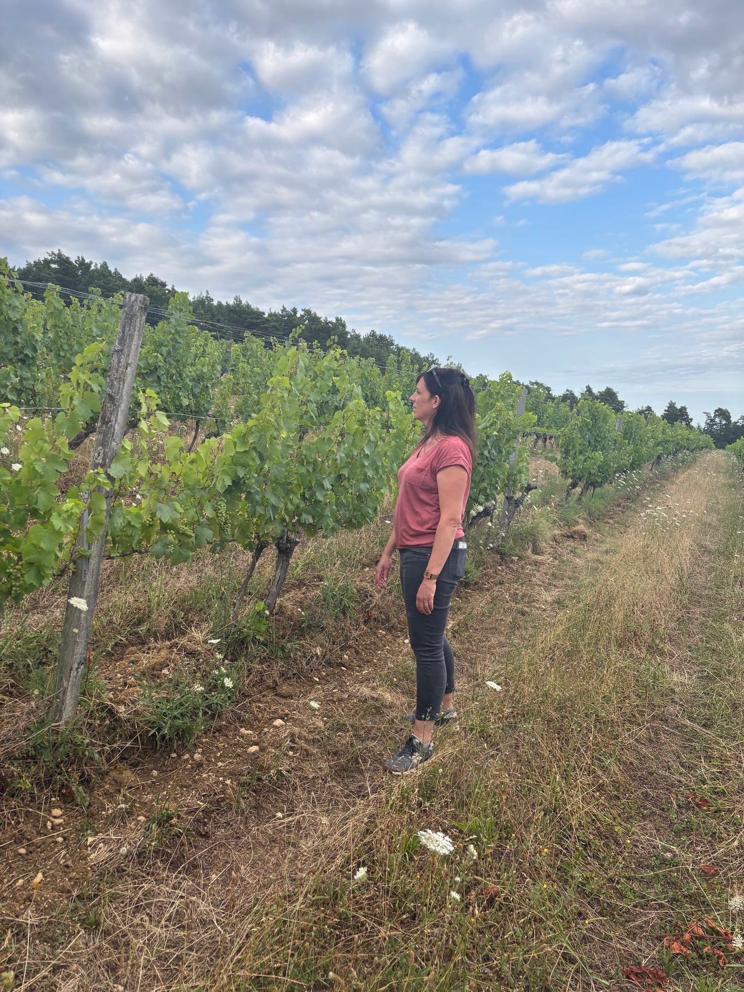 Le Grain du Vin Grain de Soleil Bourgogne blanc 2023