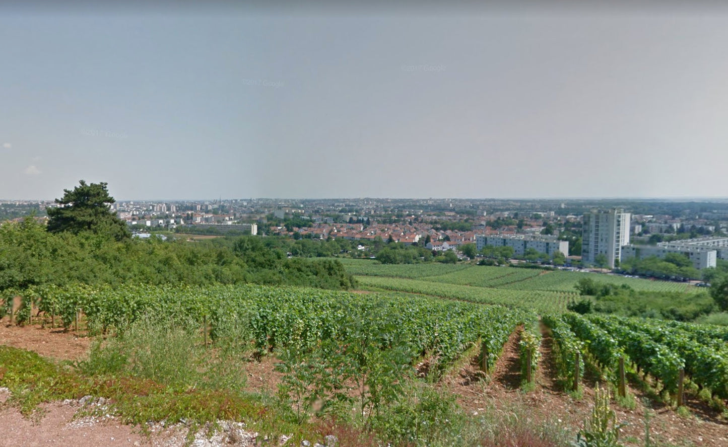 Chapuis et Chapuis Bourgogne Montre Cul Rouge 2023