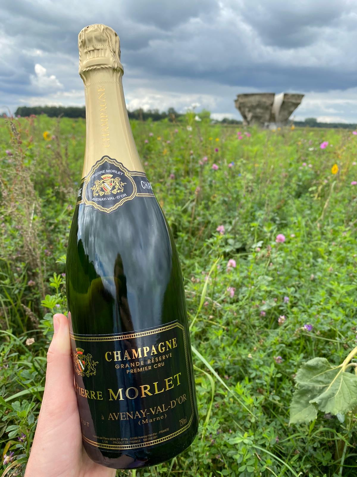 Champagne Pierre Morlet Grande Reserve Premier Cru